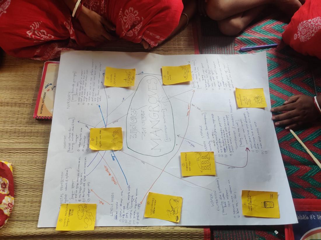 A chart-paper mind map titled Mangroves, ecosystem functions, with sticky notes for nursery, habitat, coastal protection, livelihoods and more.