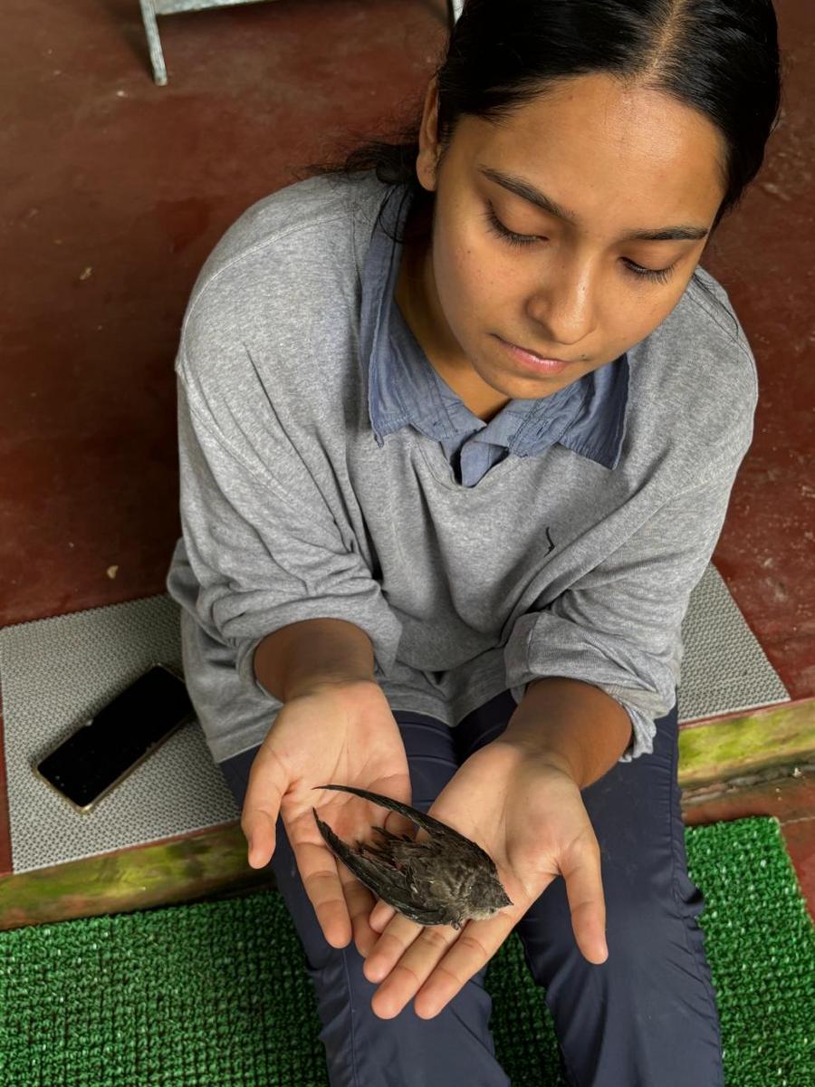 Simran Sinha holding a small rescued bird in her cupped hands.